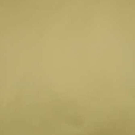 Afbeeldingen van Cadeaupapier 200m - Dessin 575