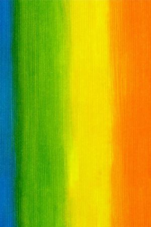 Afbeeldingen van Wit kraft cadeaupapier 250m - Rainbow