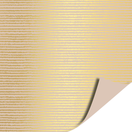 Afbeeldingen van Coated papier 50cm 100m - Fine Lines Beige AZ Beige