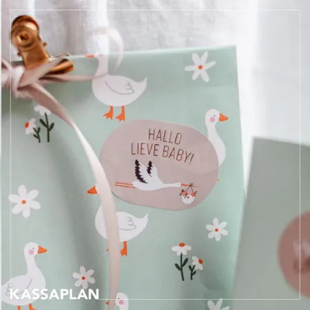 papieren zakjes, geschenkzakjes, kraft zakjes	KP® Kraft papieren zakken - Little goose Mint 14x8x26cm 