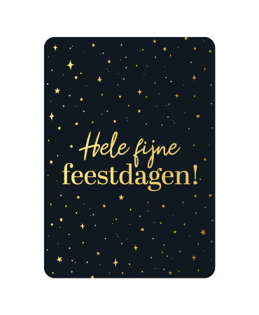 A6 wenskaart met tekst 'Hele fijne feestdagen' en sterren - set van 10 stuks