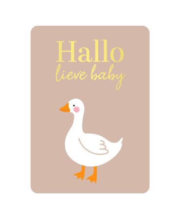 A6 wenskaart 'Hallo lieve baby', set van 10 stuks, geboortekaart met gansje