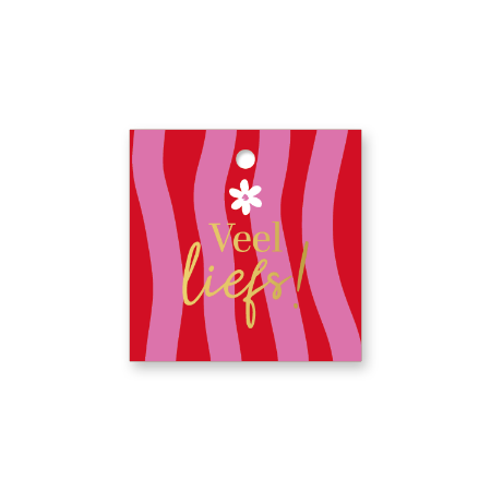 Vierkant roze rode cadeaulabel - Veel liefs in goud - 60x60mm