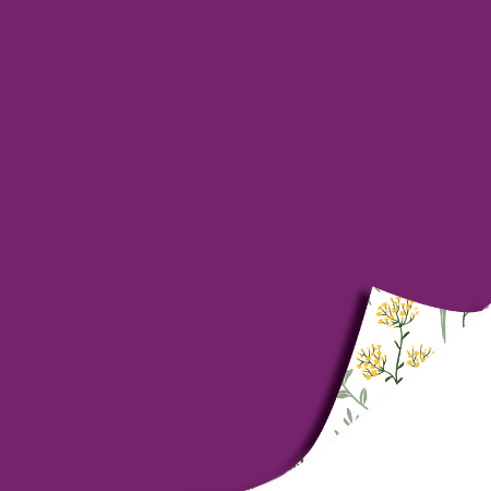 Afbeeldingen van KP® Cadeaupapier 30cm 100m - Wildflowers