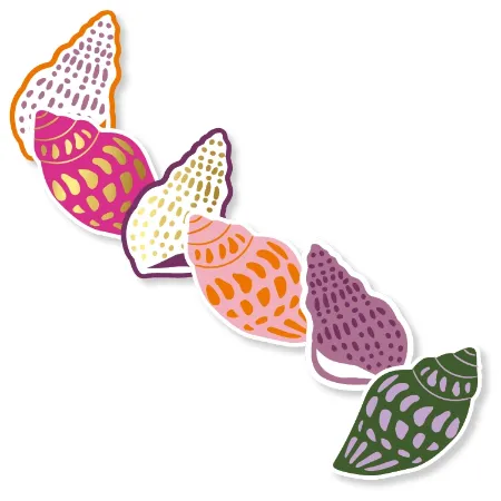 KP® Stickers 40x35mm - Sea Shells (6 varianten) 250p/r