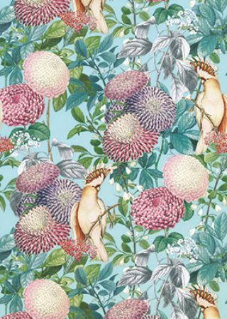 inpakpapier, cadeaupapier, geschenkpapier, kadopapier