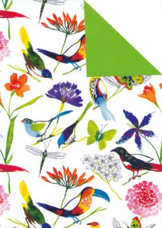 Afbeeldingen van Cadeaupapier Artline Mat 90gr Manaus 50cm 200m