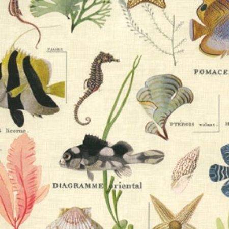 Afbeeldingen van Cadeaupapier Artline Mat 90gr Sansibar 50cm 200m