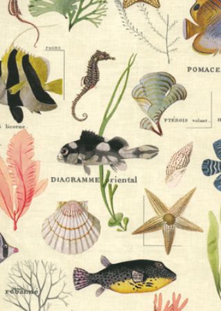 Afbeeldingen van Cadeaupapier Artline Mat 90gr Sansibar 50cm 200m