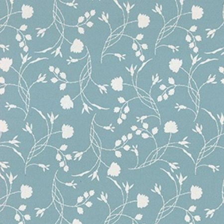 Afbeeldingen van Cadeaupapier Eco Nature wit 80gr Erba-wijze 50cm 200m