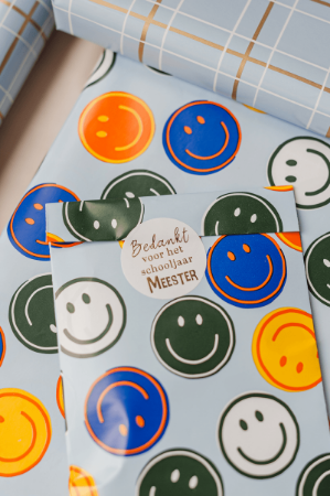 Bedankt voor het schooljaar meester stickers - 3 soorten meester stickers