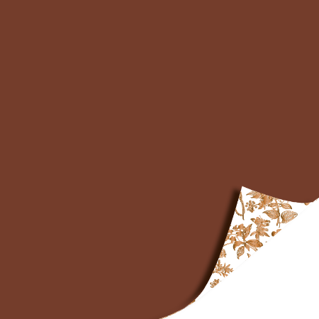 Afbeeldingen van KP® Cadeaupapier 30cm 100m - Autumn nature